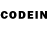 Псилоцибиновые грибы GOLDEN TEACHER Rid Strong