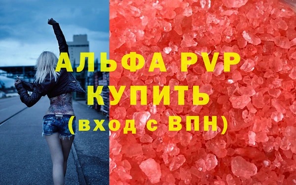 ПСИЛОЦИБИНОВЫЕ ГРИБЫ Волоколамск