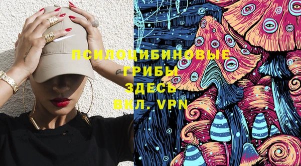 ПСИЛОЦИБИНОВЫЕ ГРИБЫ Волоколамск