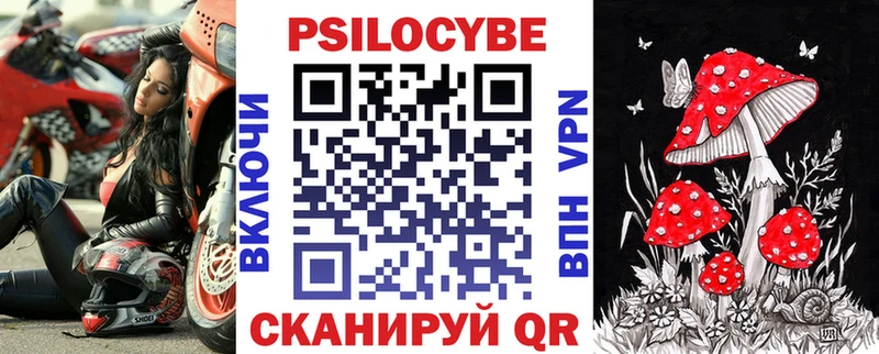 цена наркотик  Новокузнецк  Галлюциногенные грибы GOLDEN TEACHER 