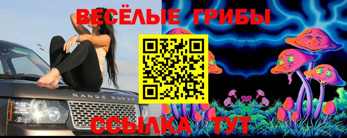 Новокузнецк  Псилоцибиновые грибы прущие грибы  Вход с VPN 