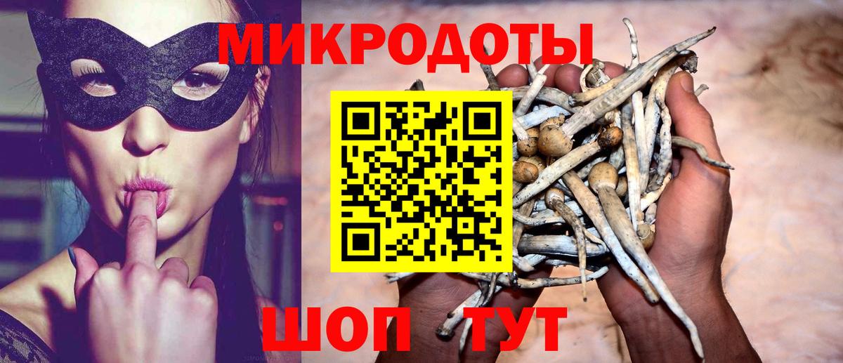 Галлюциногенные грибы MAGIC MUSHROOMS Новокузнецк